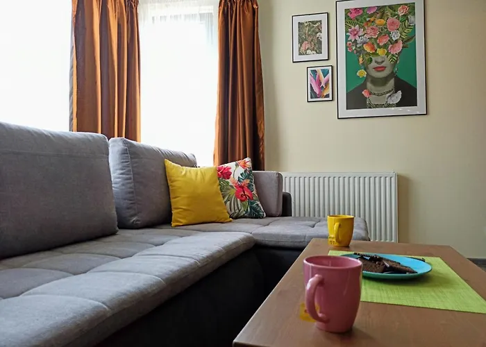 Fajny Kat - Apartamenty W Centrum, Najwyzsze Opinie Gosci