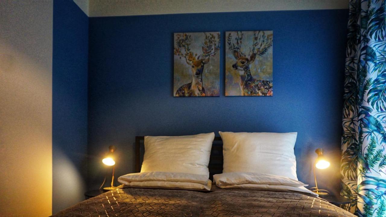 Kat - W Centrum, Najwyzsze Opinie Gosci Apartment Jelenia Góra