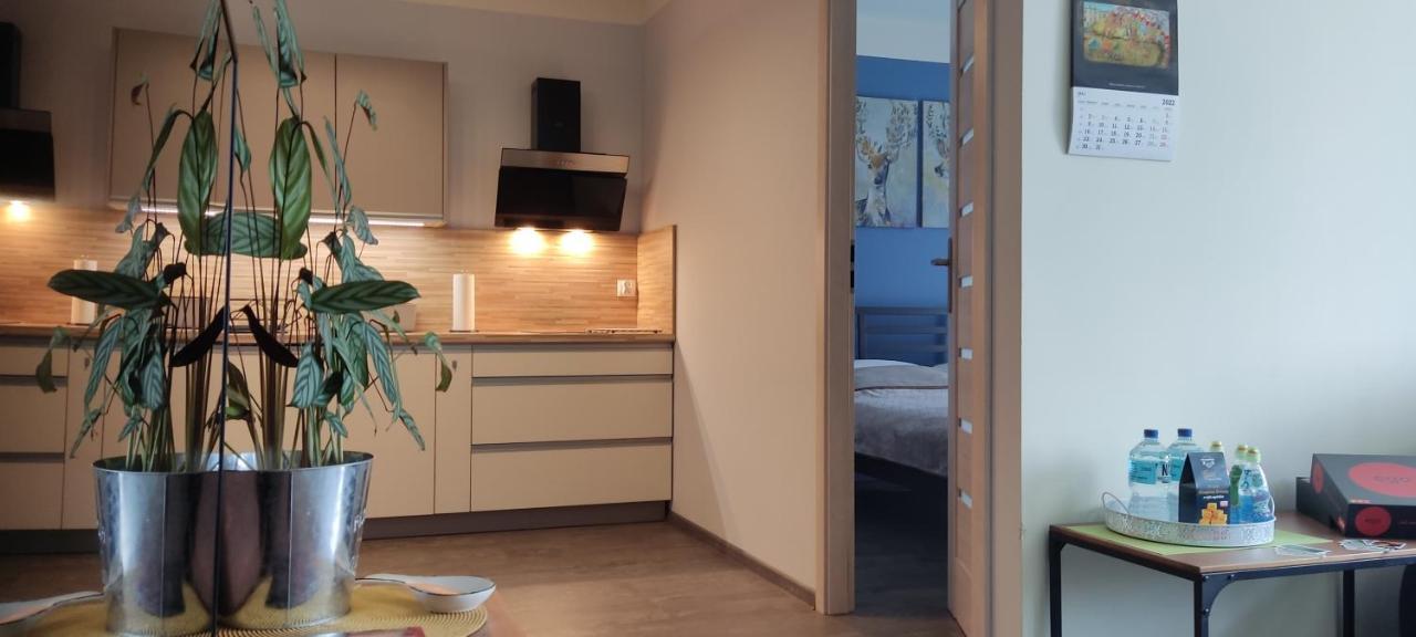 Kat - W Centrum, Najwyzsze Opinie Gosci * Jelenia Góra